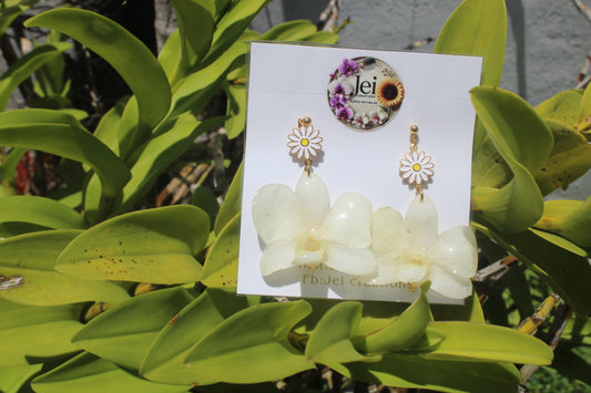 White Dendrobium Daisy earings