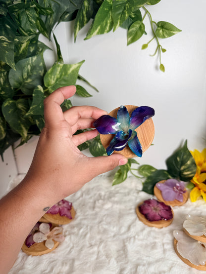 Bloom Petal Mirror