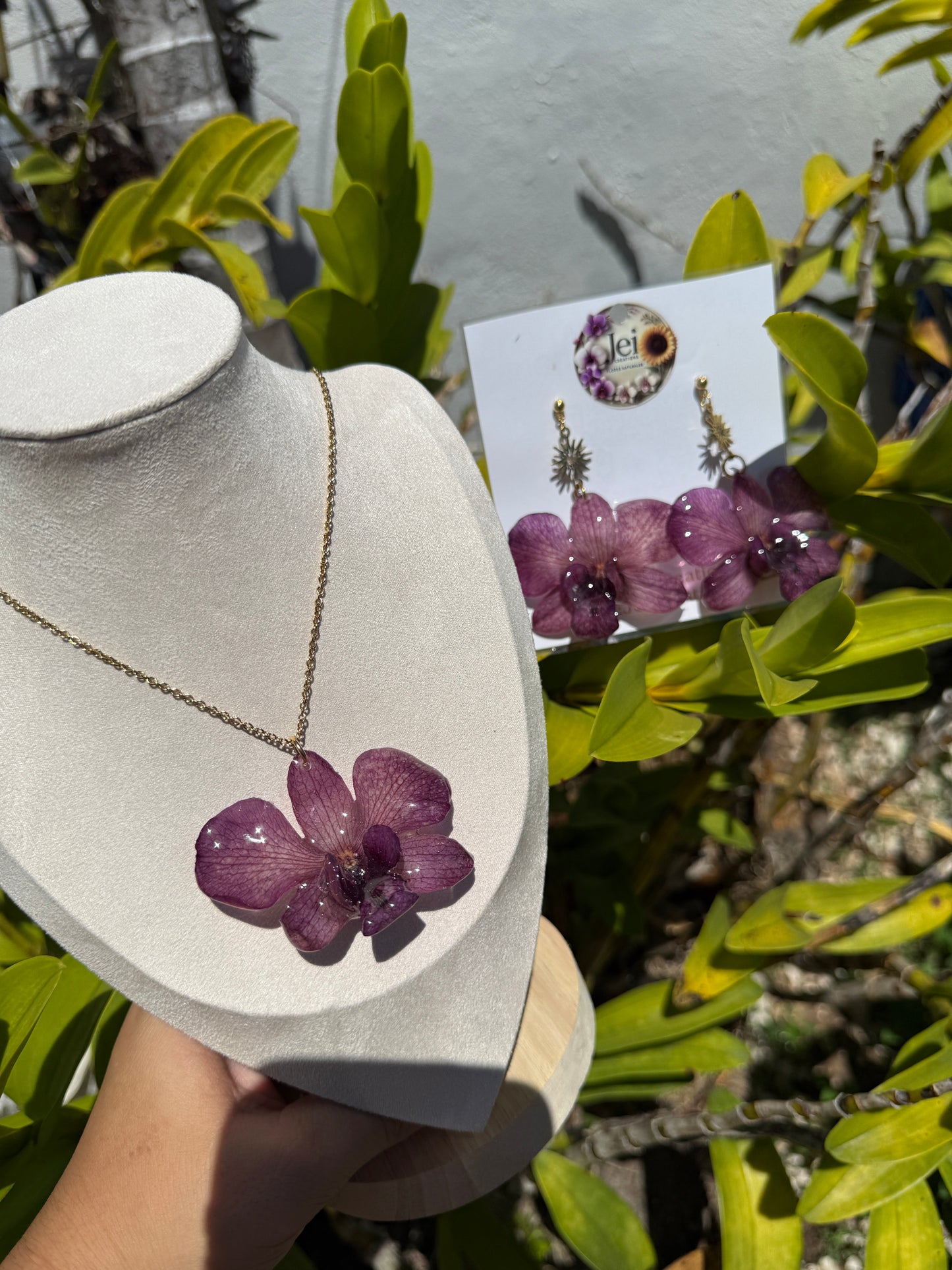 Purple Dendrobium set