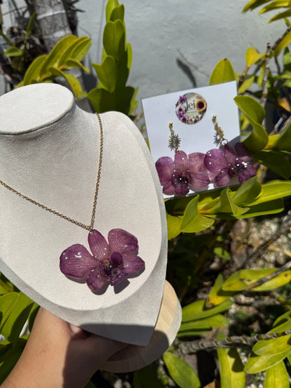 Purple Dendrobium set