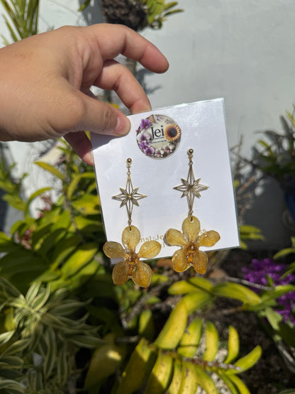 Yellow Orchid star earings