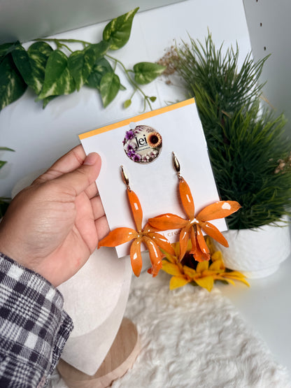 Orange orchid Cattleya