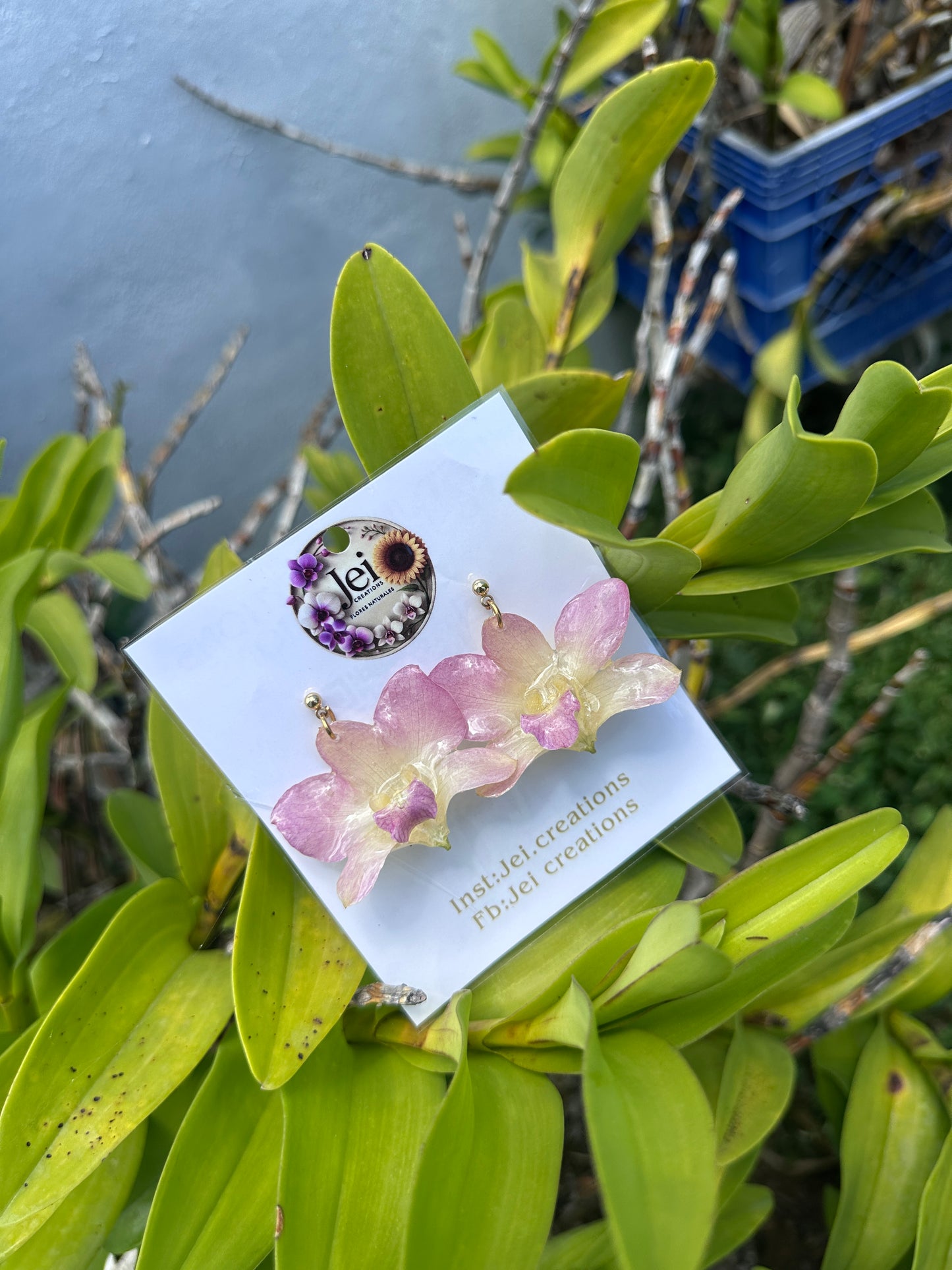 Pinky Orchid earings