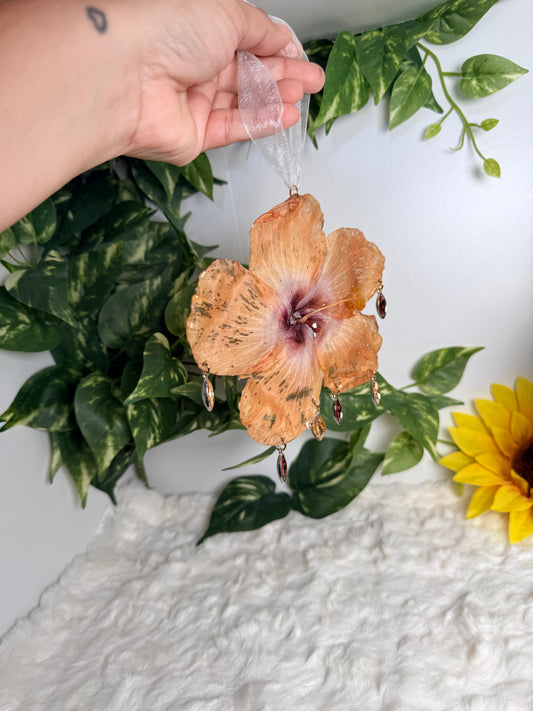 Amber Glow Exotic Poppy Hanging