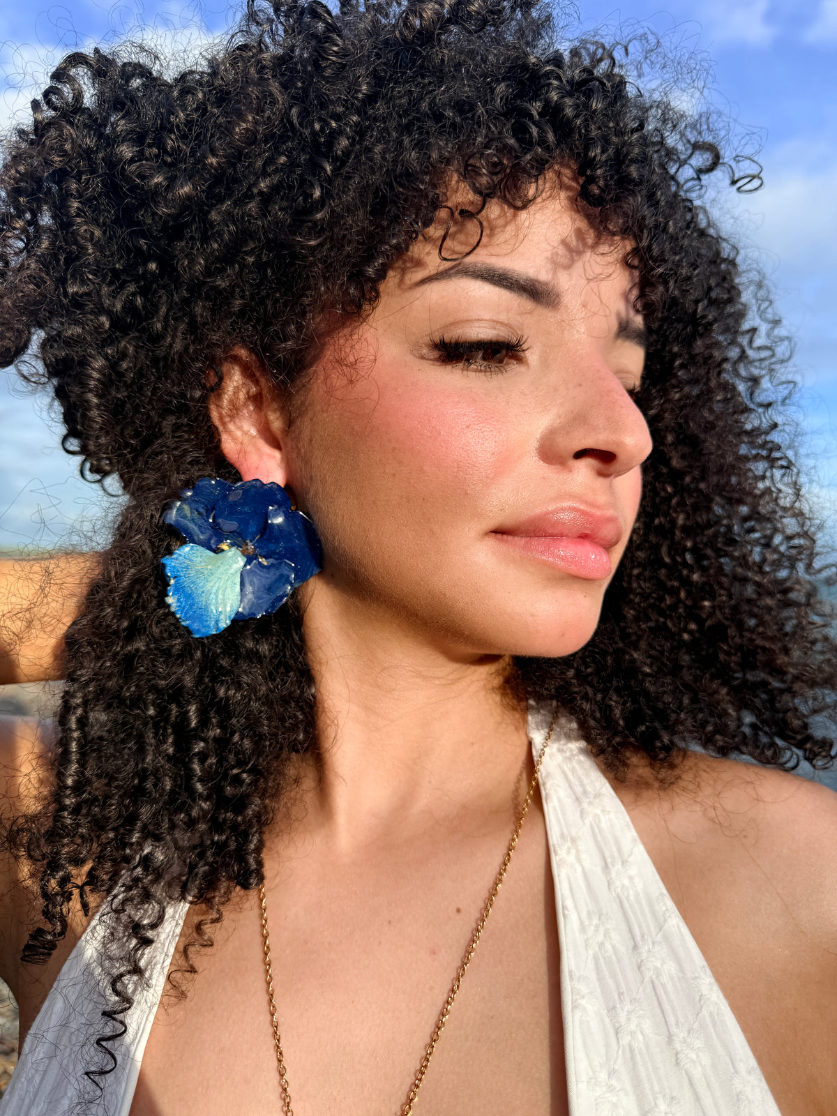 Flamboyán azul set