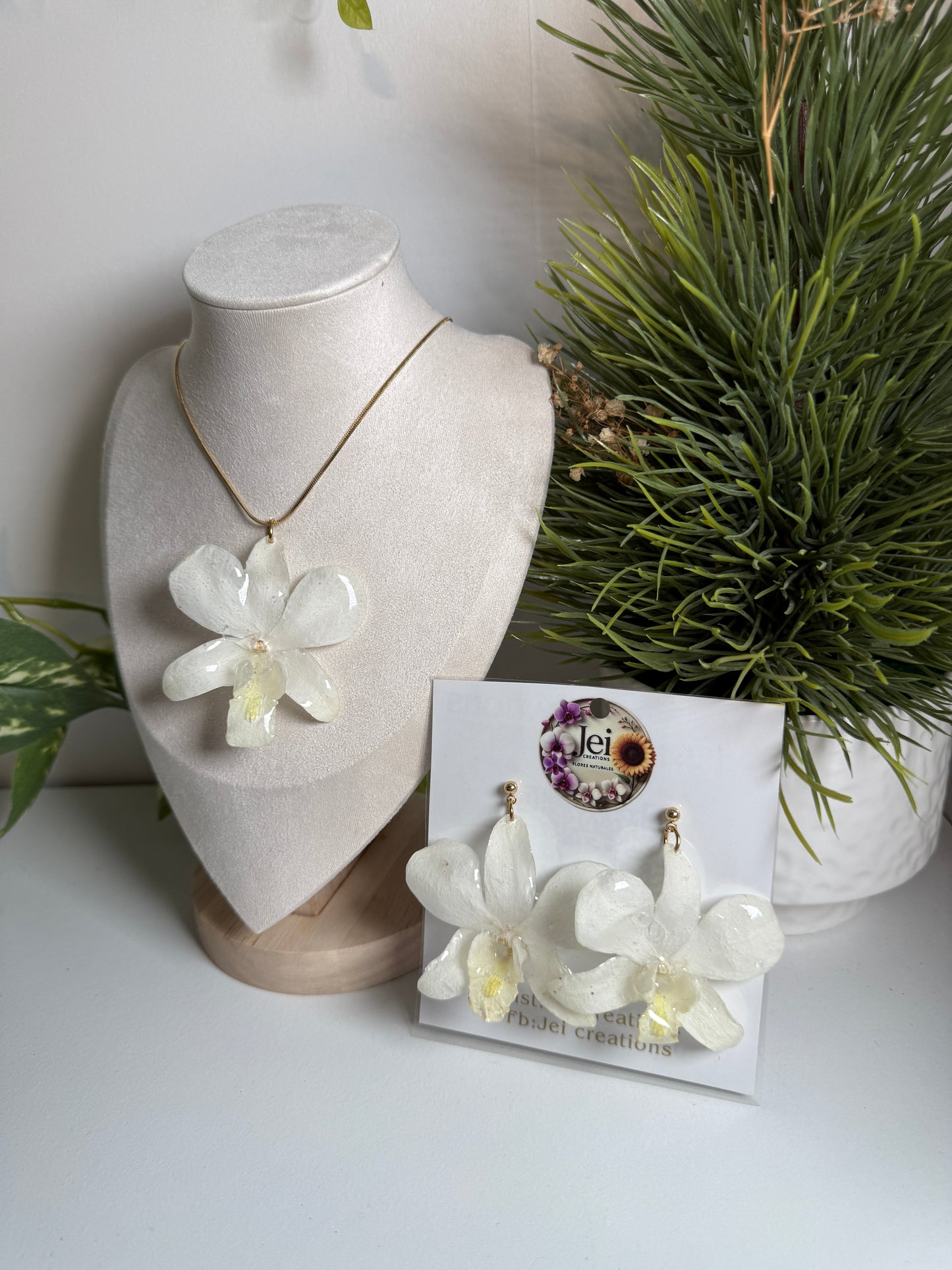 White Dendrobium Orchid set