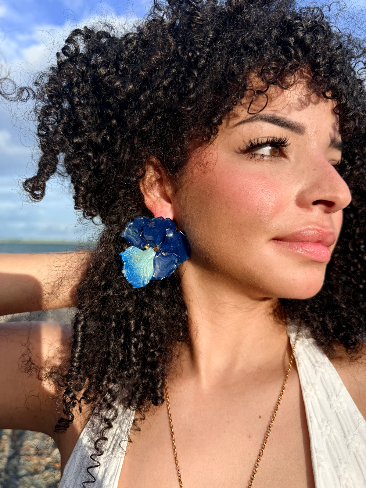 Flamboyán azul set