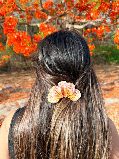 Flamboyan Flame 2-in-1 Hair Clip & Brooch