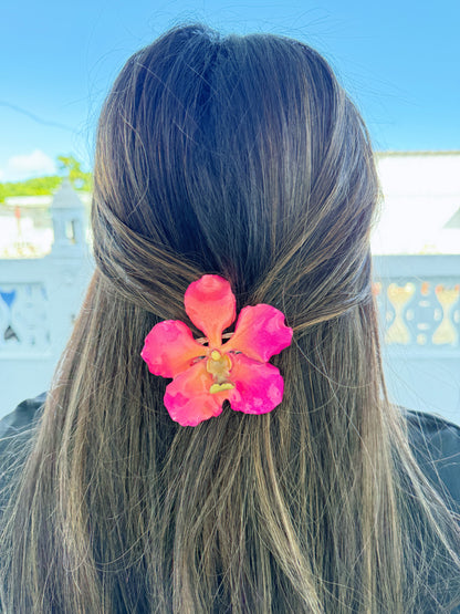 Pink Vanda Orchid Hair clip