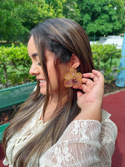 Big Orchid Vanda set