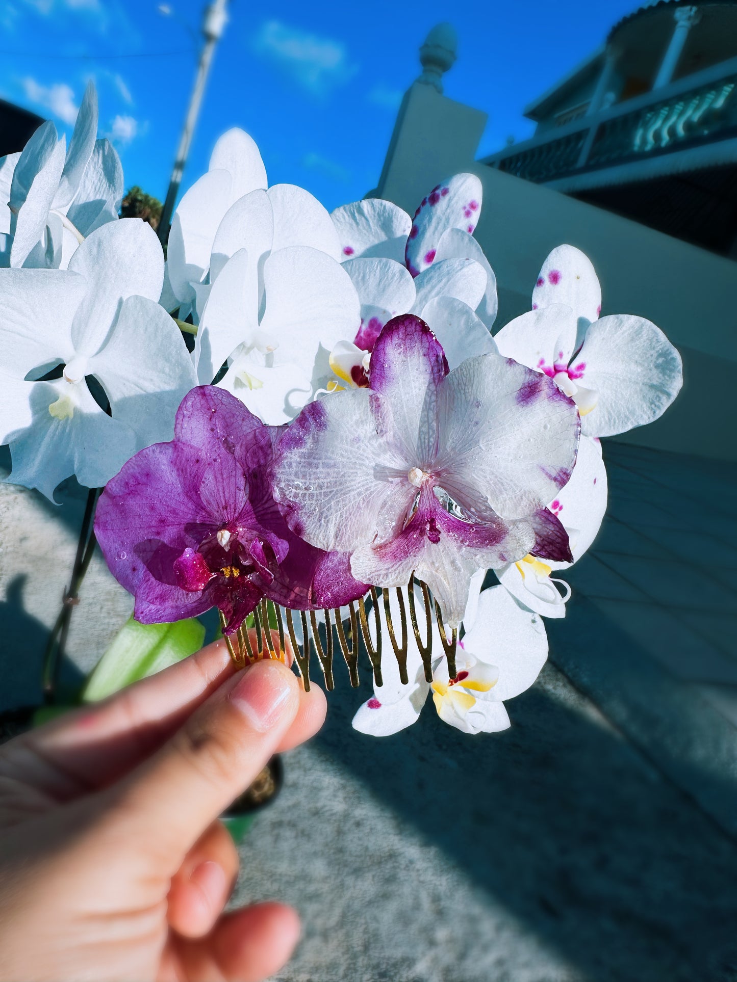 Phalaenopsis Orchid Hair Comb