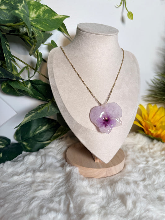 Blush Orchid Set