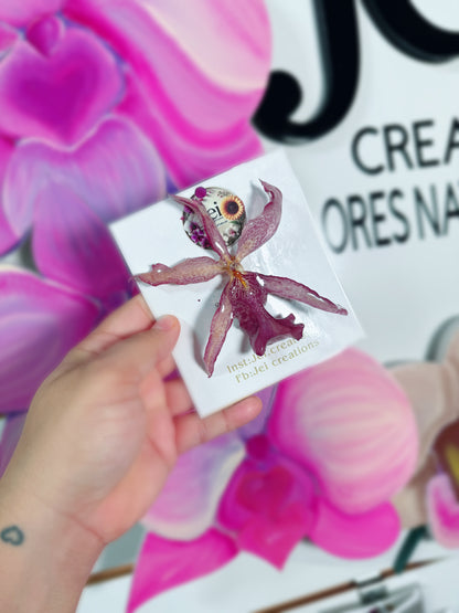 Prendedores(Orchid pins)