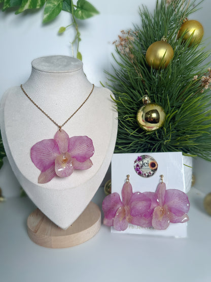 Big Dendrobium Orchid set