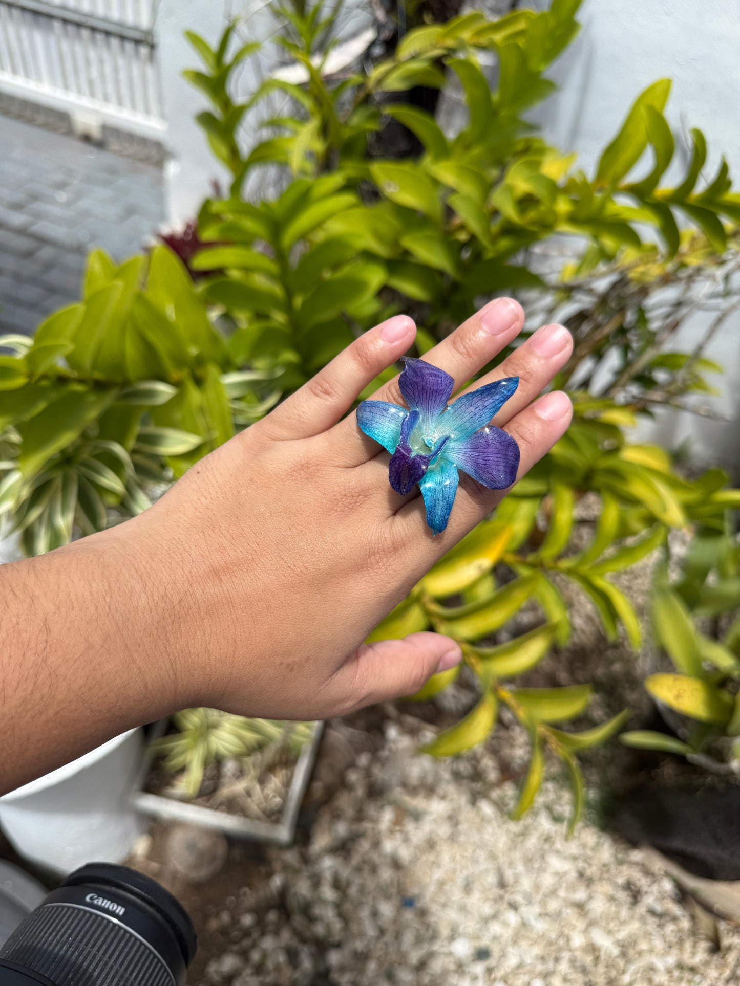 Blue Orchid ring