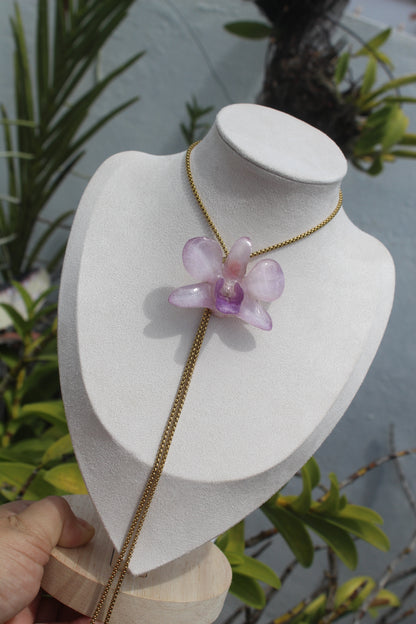 Baby purple Dendrobium set