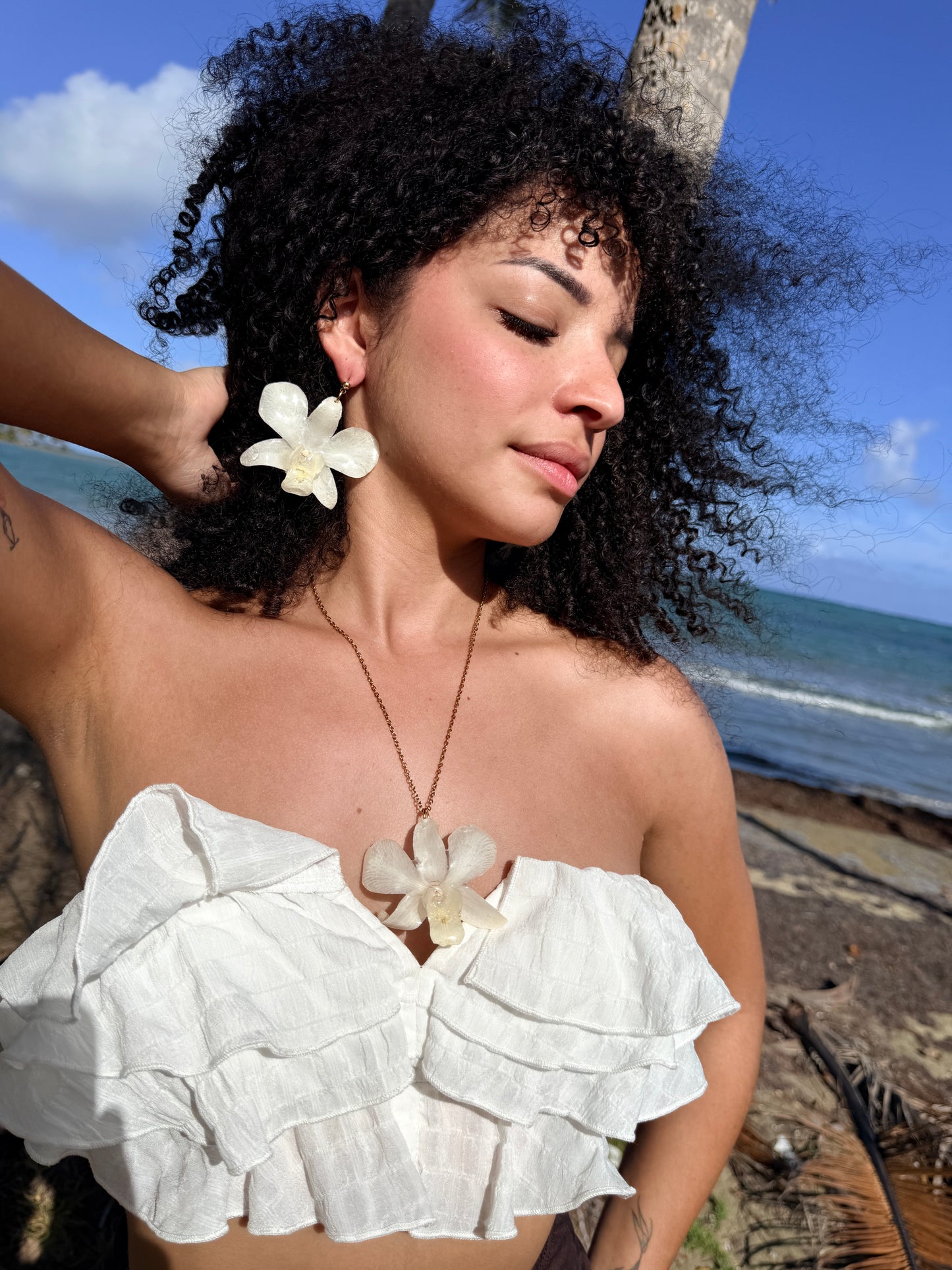 White Dendrobium Orchid