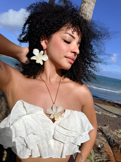 White Dendrobium Orchid