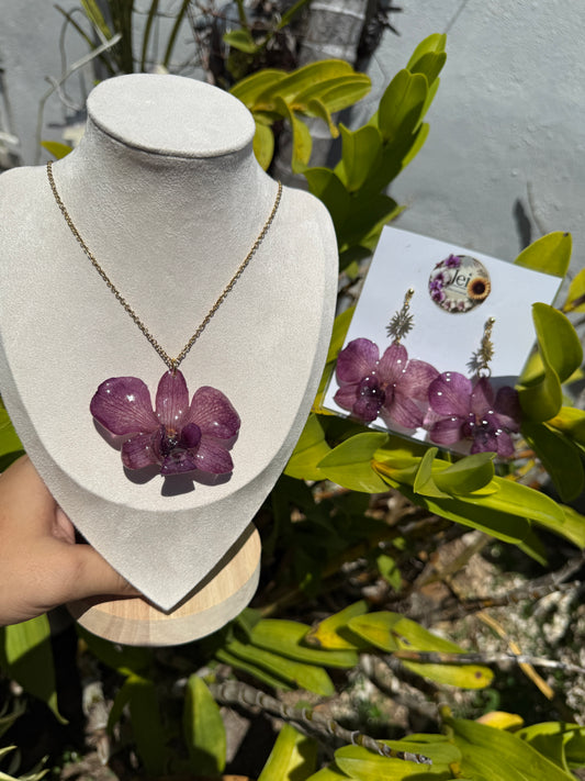 Purple Dendrobium set