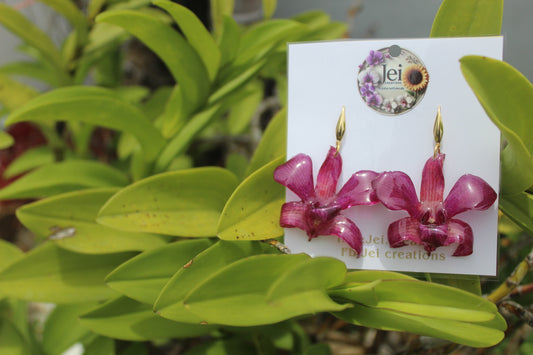 Dendrobium Orchid