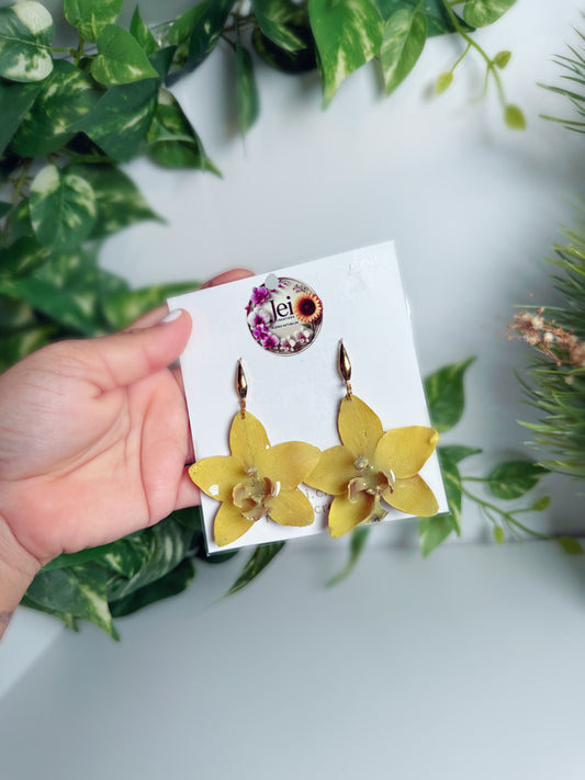 Yellow Orchid earings