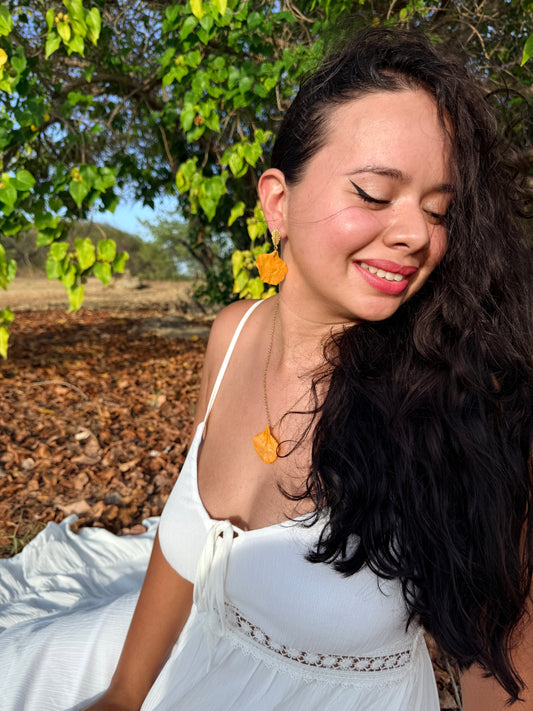 Set flamboyán amarillo