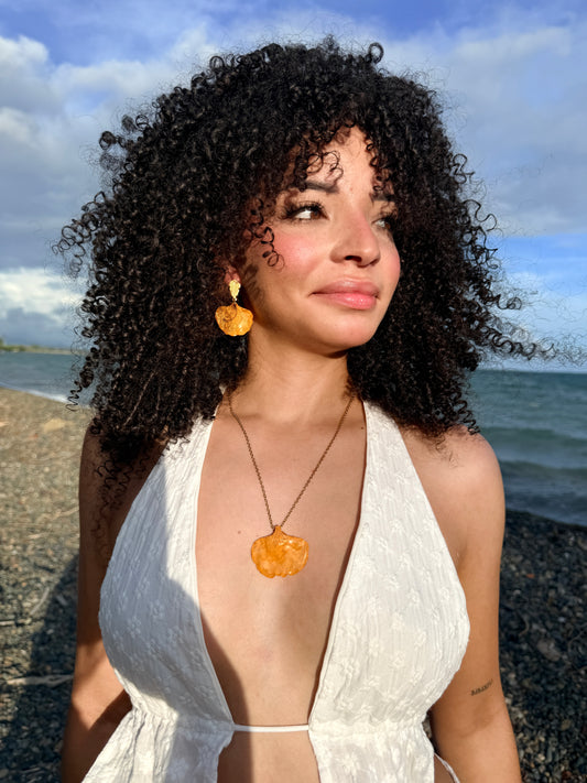 Set flamboyán amarillo