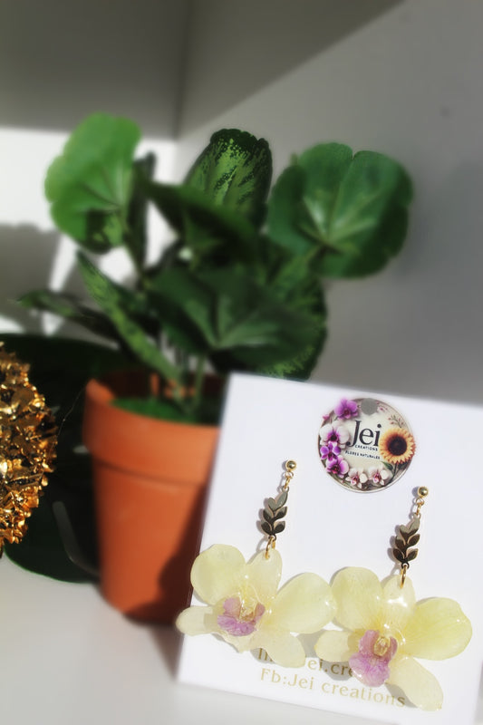 Baby yellow Orchid earings