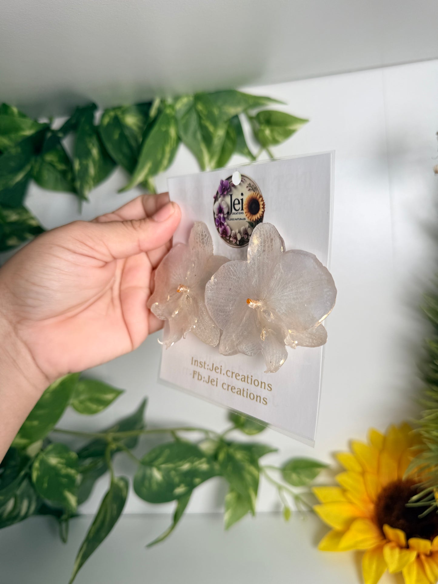White Phalaenopsis stud