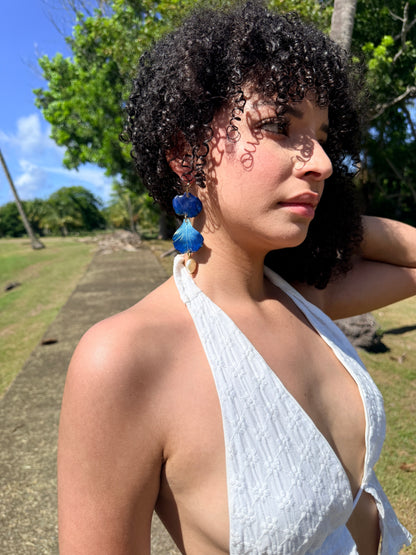Flamboyán azul