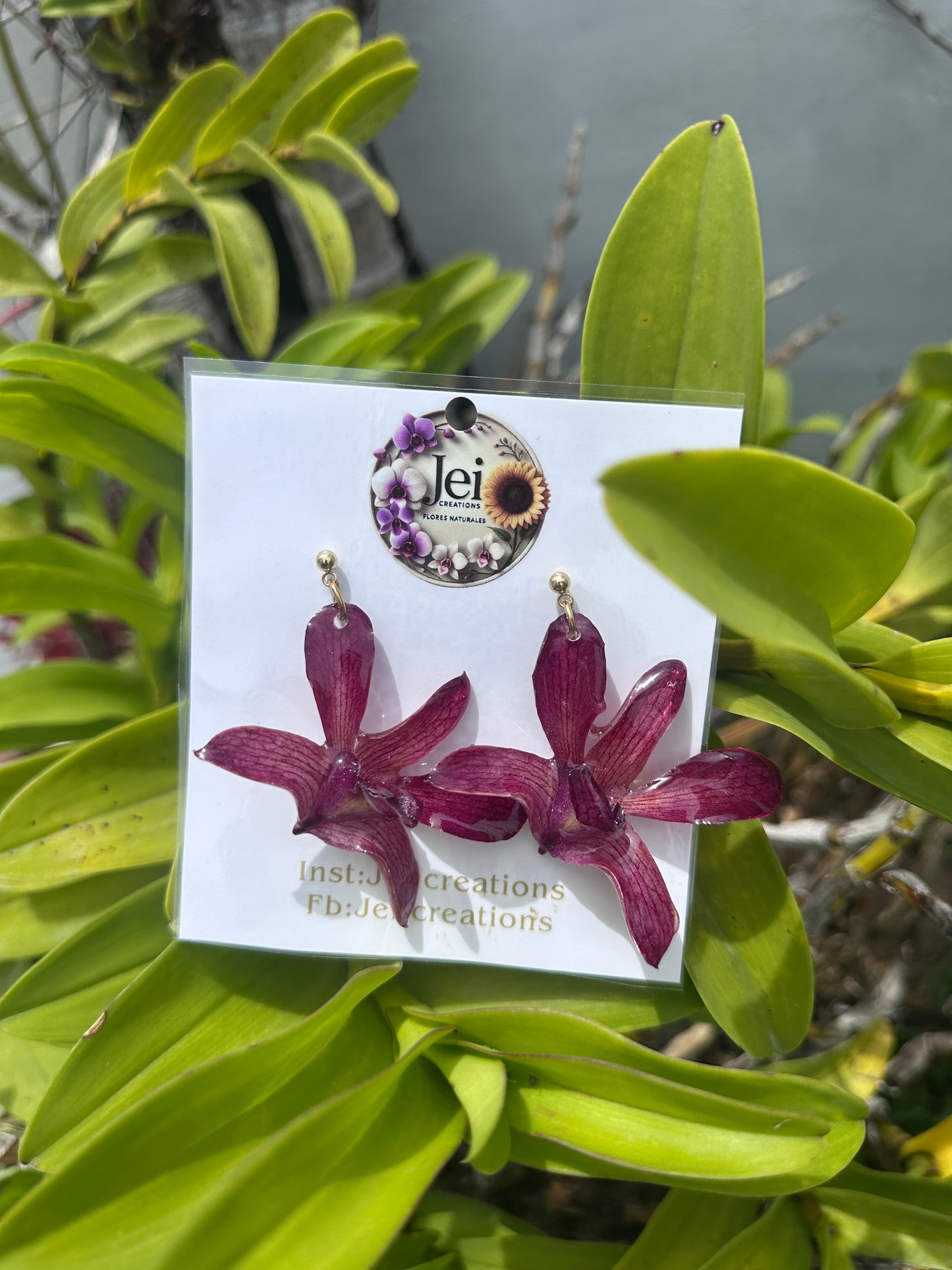 Vine Dendrobium Orchid earings