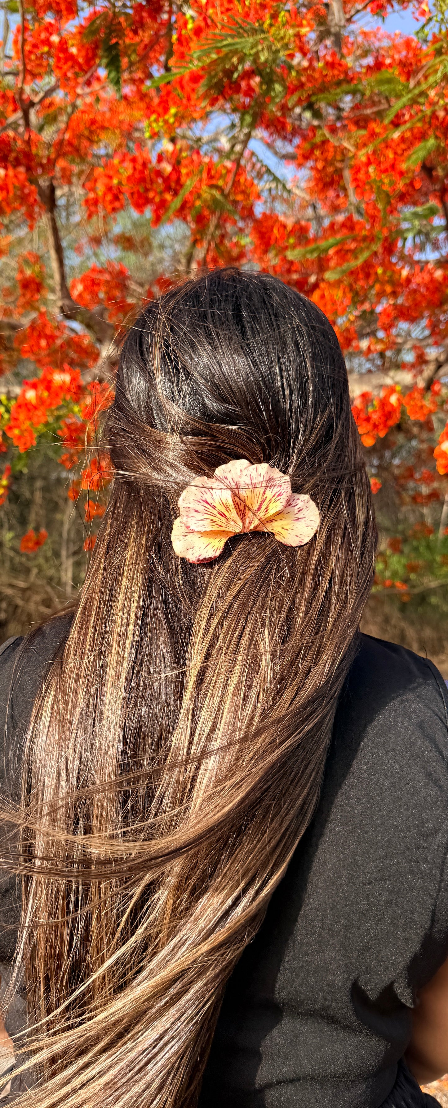 Flamboyan Flame 2-in-1 Hair Clip & Brooch