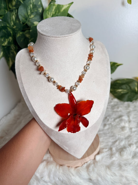 Ember Cattleya