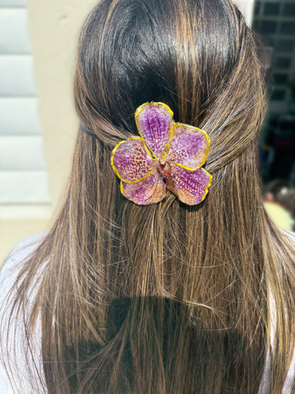 Vanda Orchid Hair clip