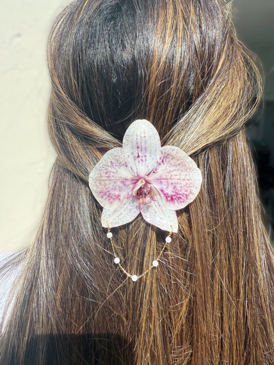Phalaenopsis Orchid Hair clip