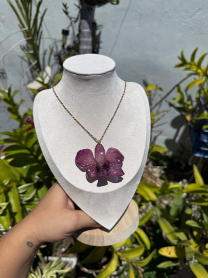 Purple Dendrobium set