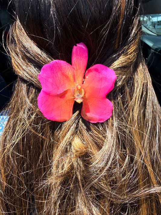 Pinky Orchid Hair clip