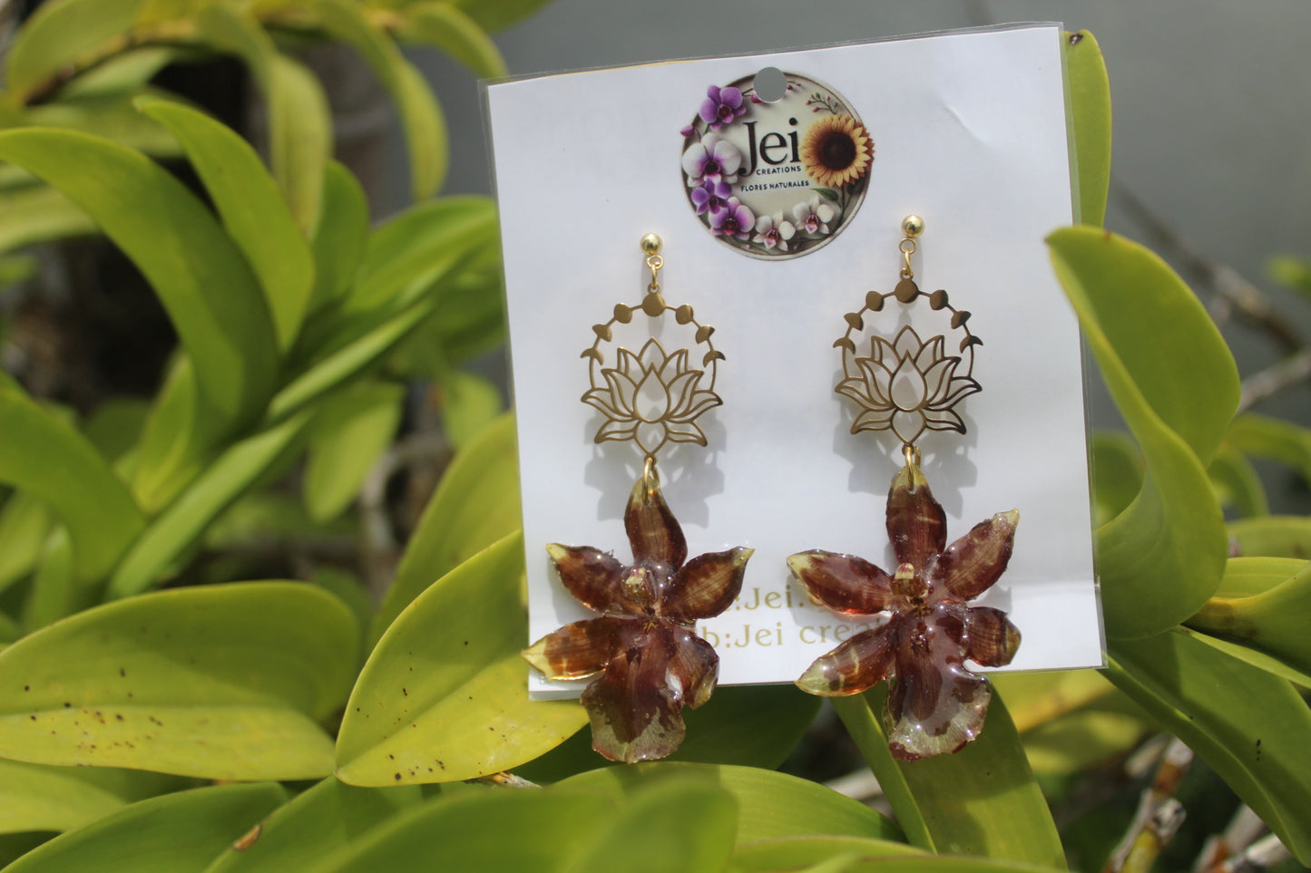 Brown Orchid Oncidium earings