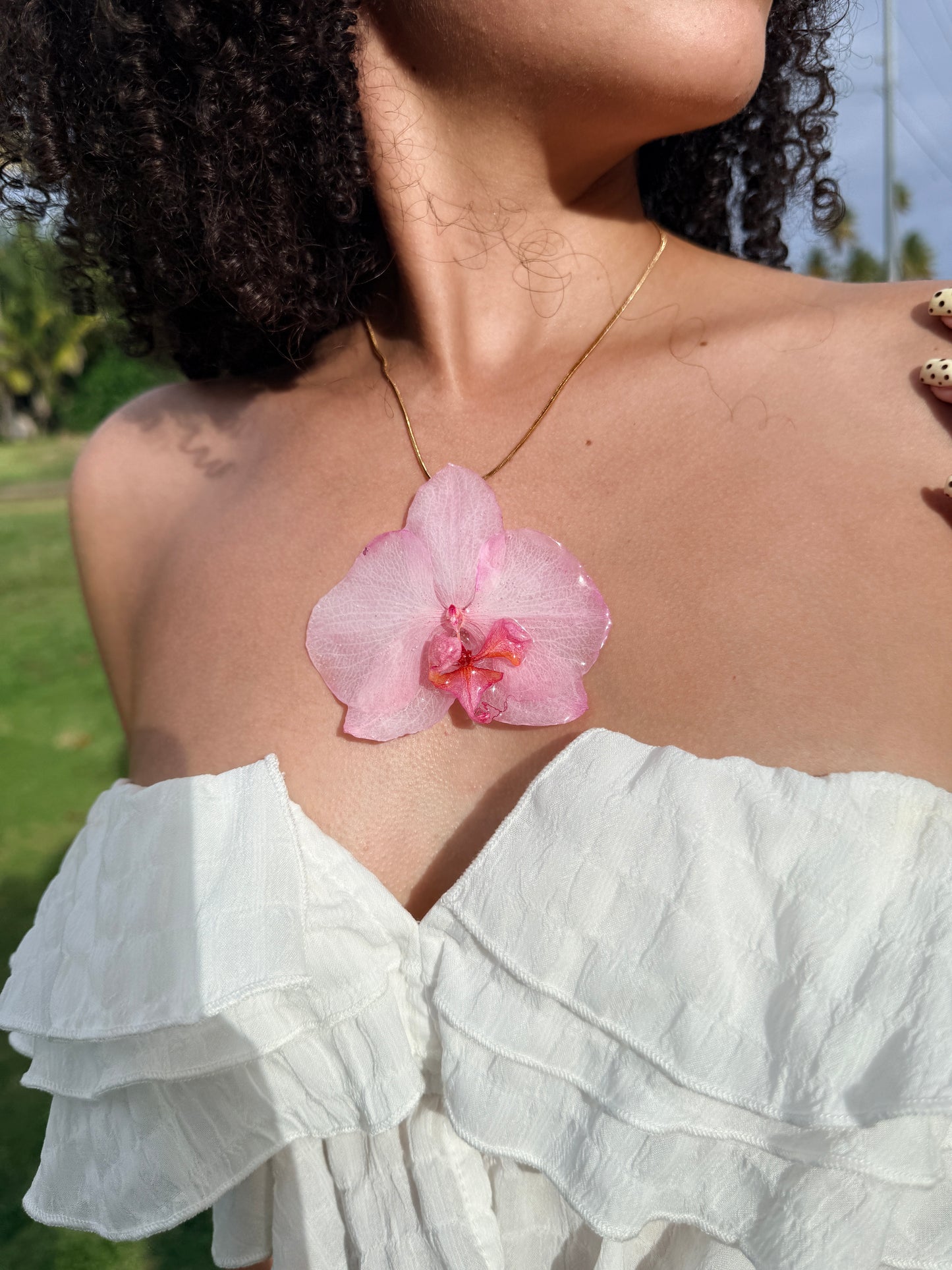 Mother’s Love Orchid Bundle