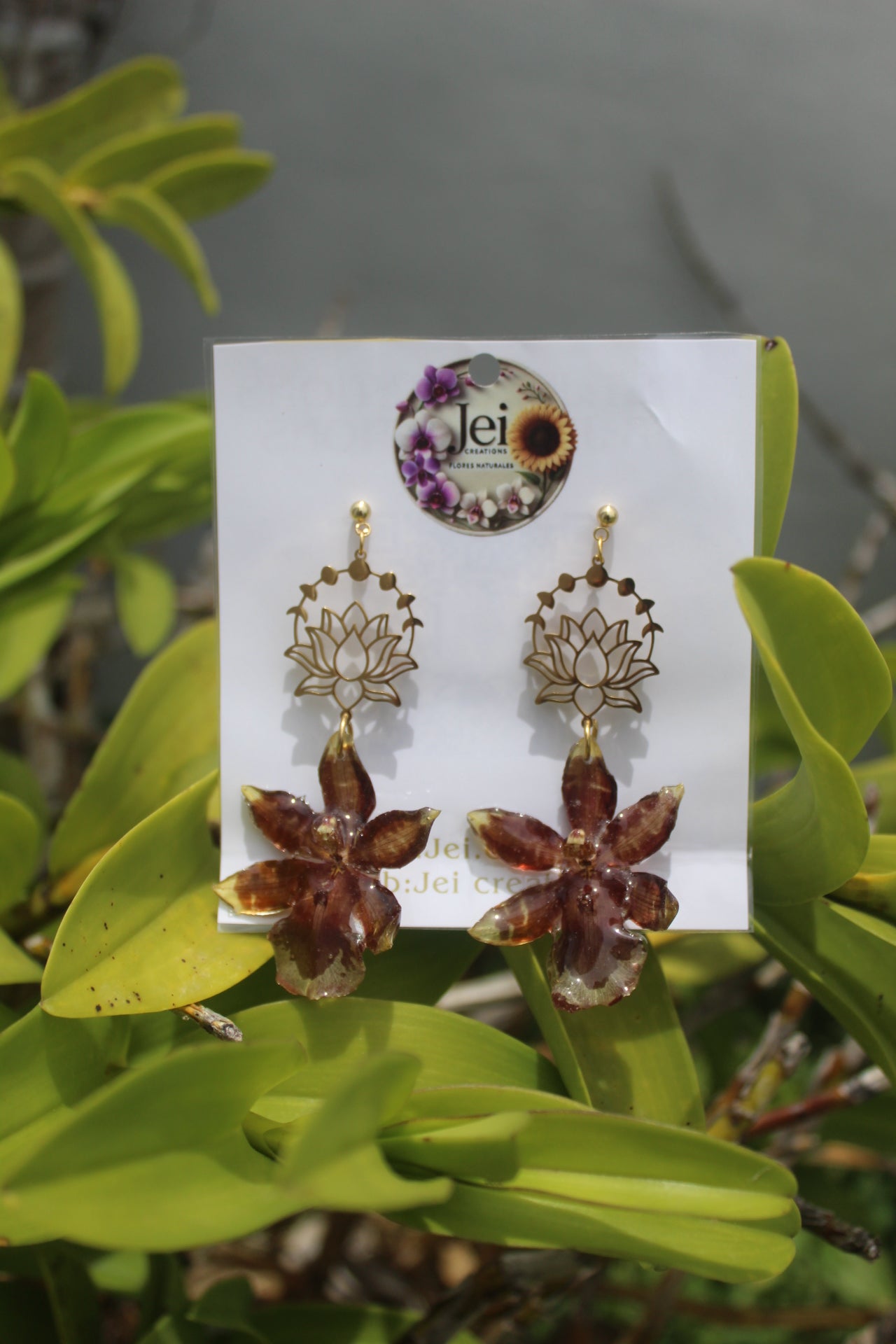 Brown Orchid Oncidium earings