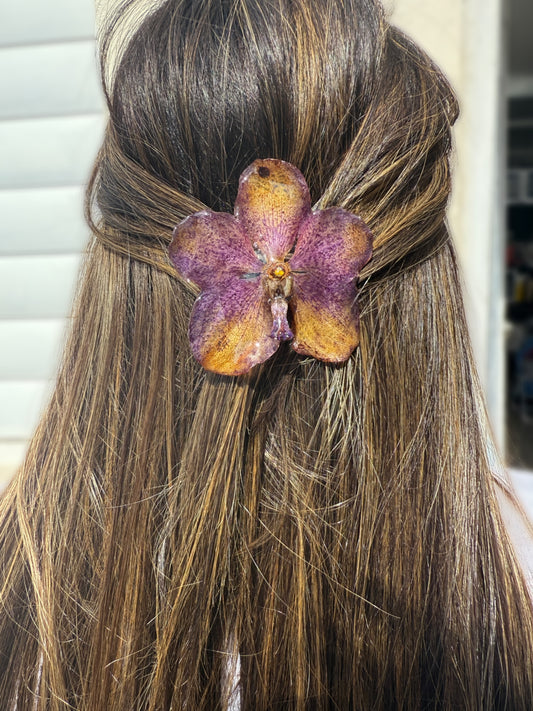 Vanda Orchid Hair clip
