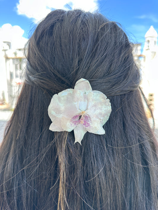 Phalaenopsis Orchid Hair clip