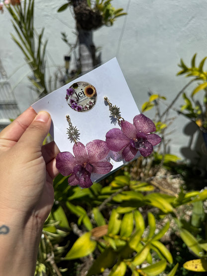 Purple Dendrobium set