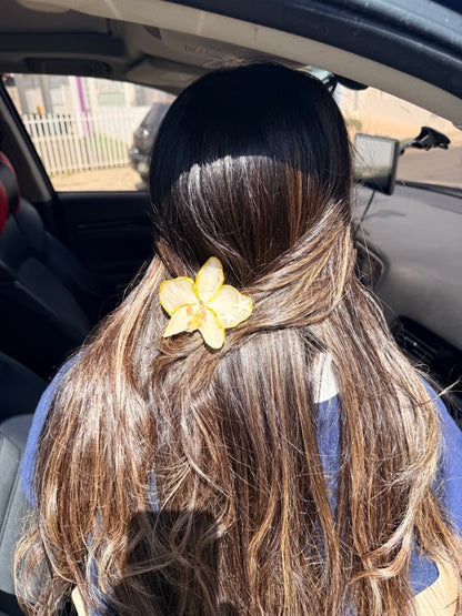 Phalaenopsis hair clip
