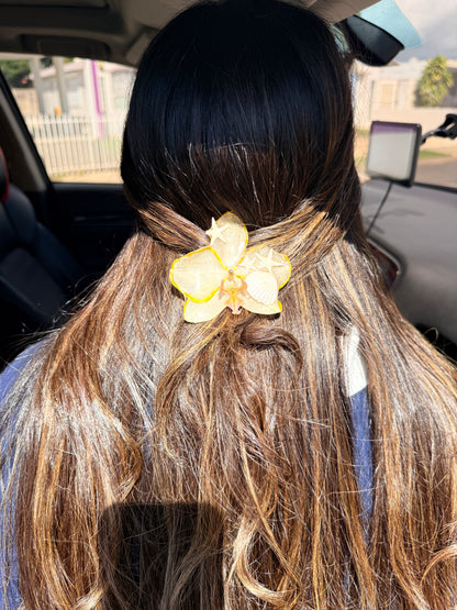 Phalaenopsis hair clip