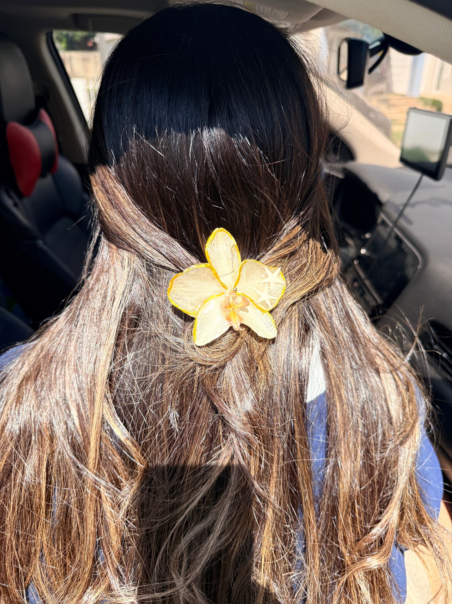 Phalaenopsis hair clip