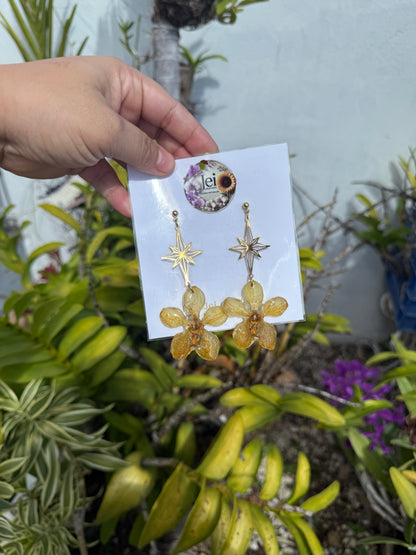 Yellow Orchid star earings
