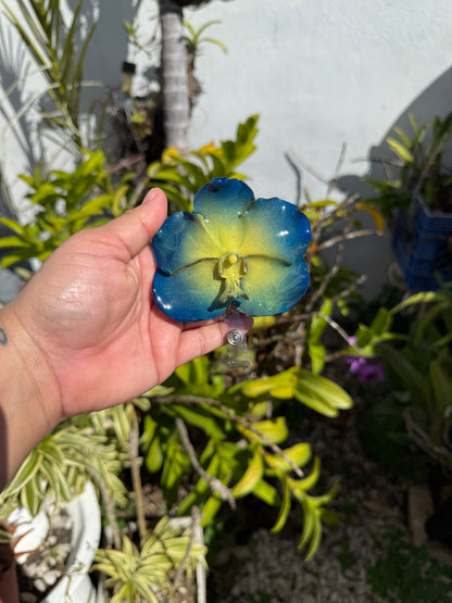 Orchid/flowers badge clip