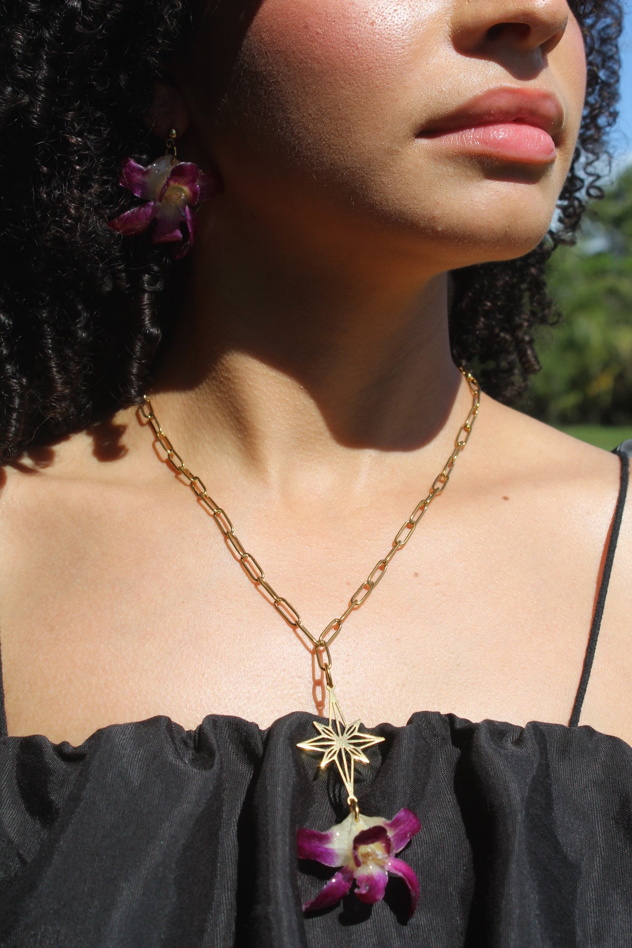 Orchid Holiday Bundle🎄