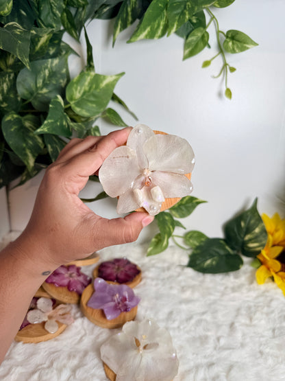 Bloom Petal Mirror